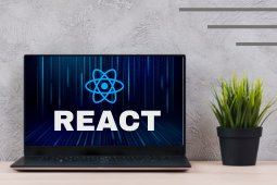 best  React-Js coaching in indore